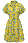 Dress E-14966