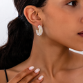 Earrings Q-8020500-1