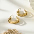 Earrings 6266-21